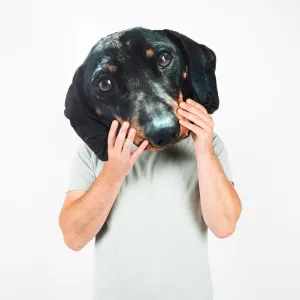 Monster Pet Face Cushion