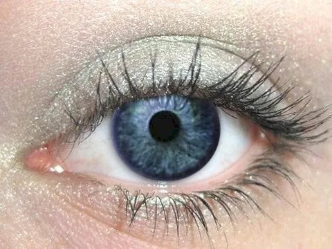 Moss Eyeshadow
