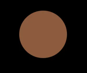 N10 COOL NEUTRAL LIQUID CONCEALER