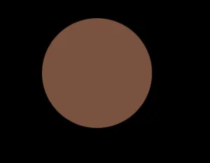 N11 COOL NEUTRAL LIQUID CONCEALER