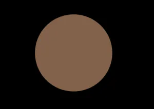 N14 COOL NEUTRAL DUAL POWDER