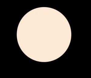 N25 COOL NEUTRAL LIQUID CONCEALER