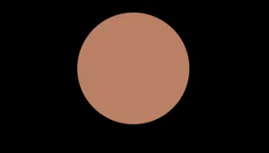 N8 COOL NEUTRAL DUAL POWDER