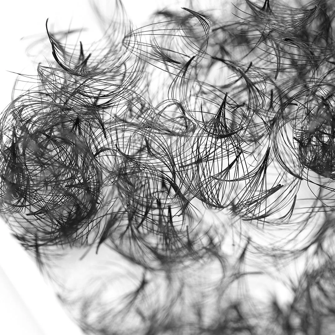 Off the Tray 8D Heat Bonded PreMade Lash Fans
