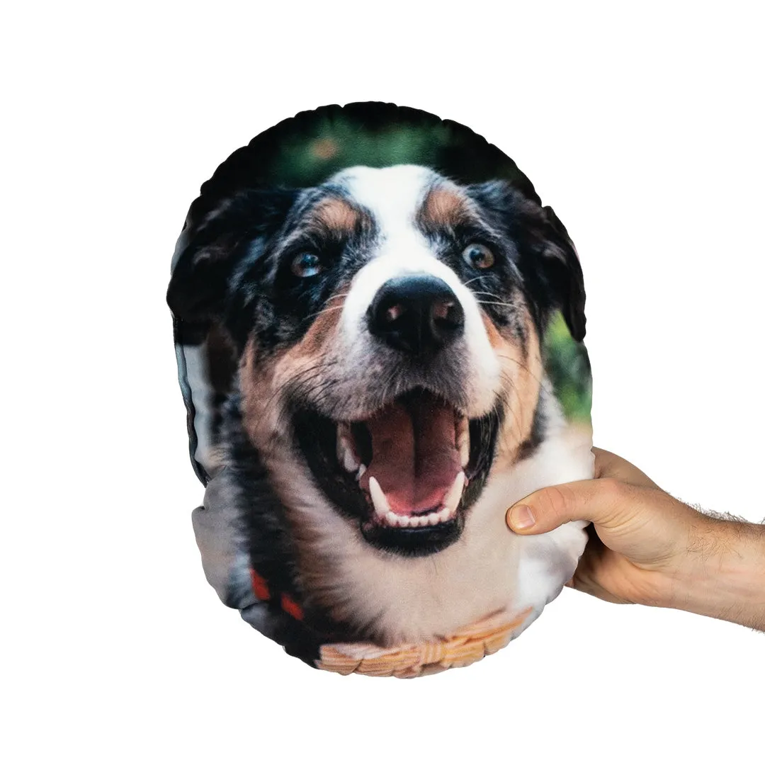 Pet Face Cushion
