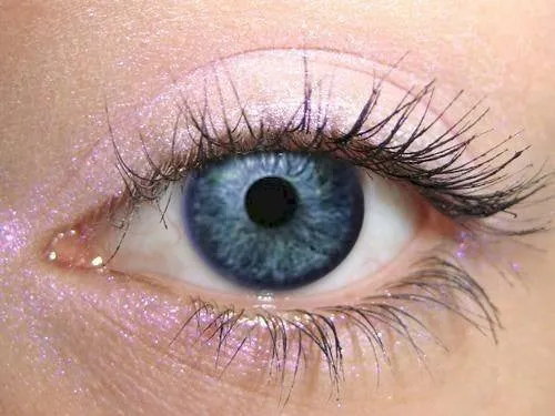 Petal Eyeshadow