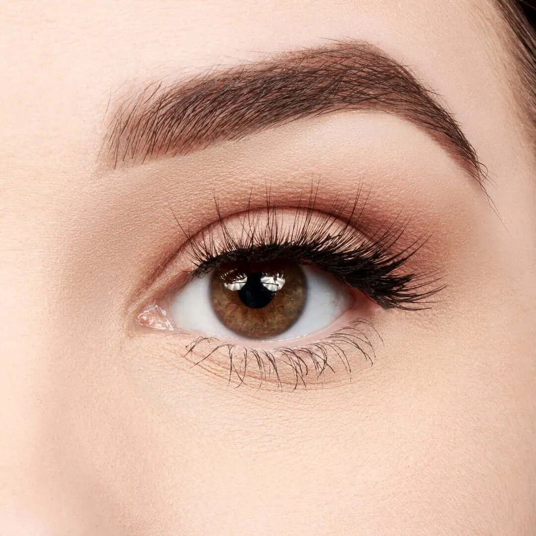 PRO Eyelashes