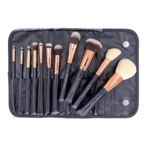 Pro Master Brush Collection - SET 900