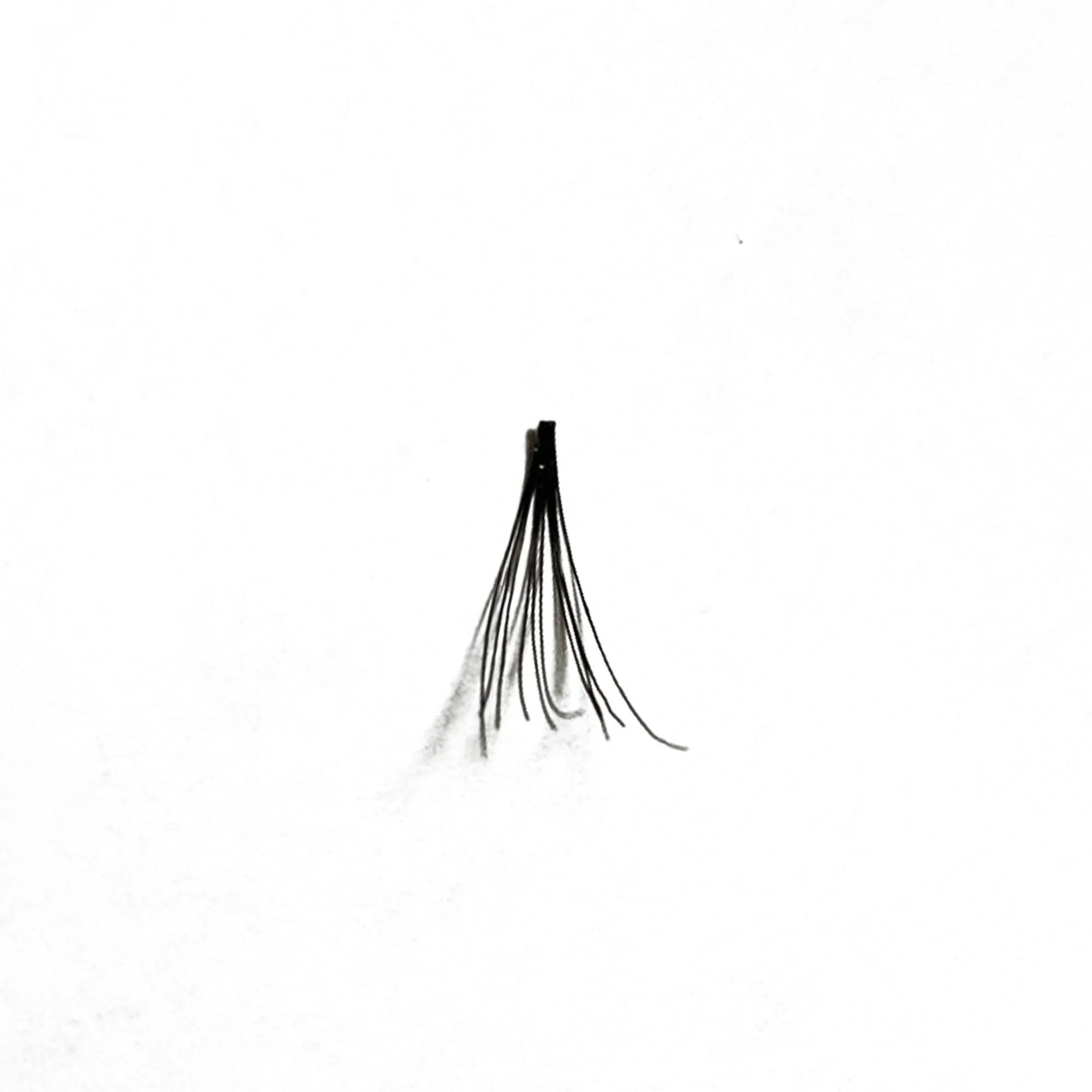 Professional Individual Lashes, 5 Ply Flare Black, Knot Free & Long For Natural Volume (BF1003-Long)