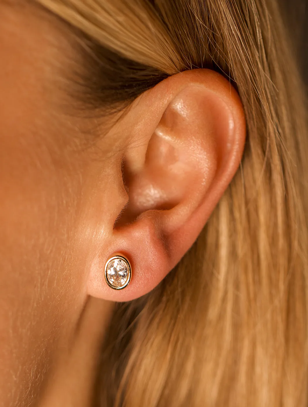 PUCE D'OREILLE MUSE