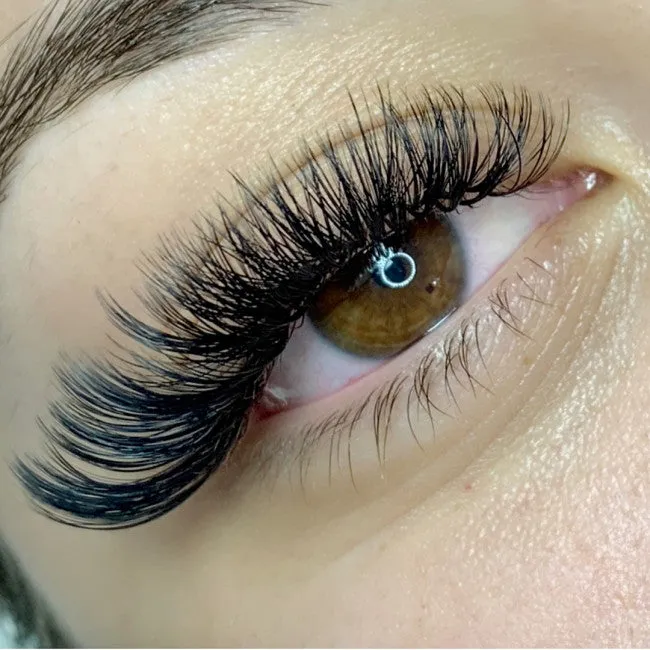 Rapid Fan Lashes - Mega Volume - 12 Row