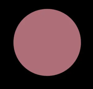 SIDEDISH 41 VINYL LIP LACQUER