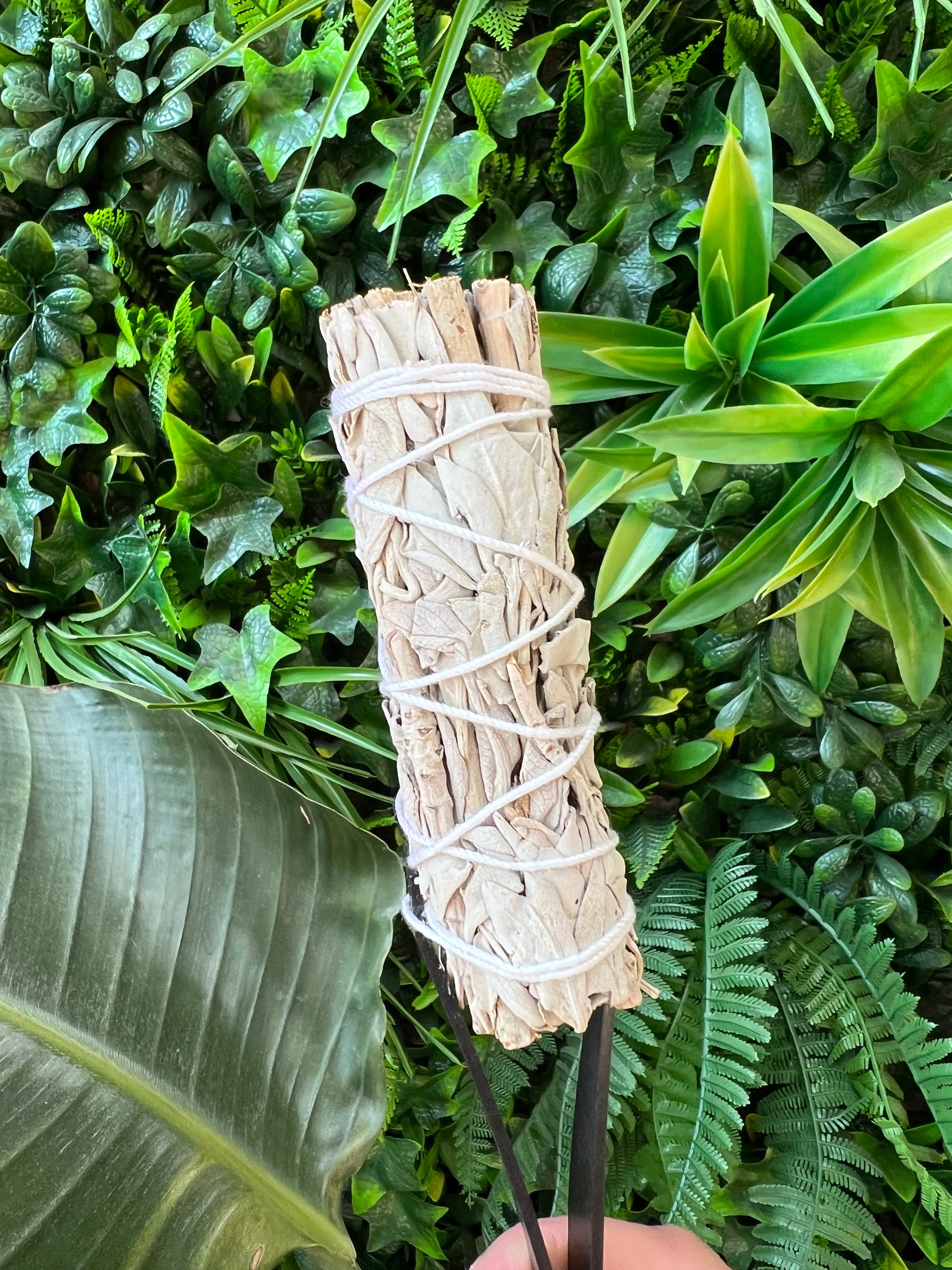 Smudge Stick - Sage
