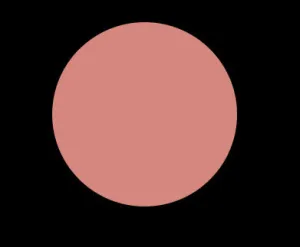 SOUFFLE 39 VINYL LIP LACQUER