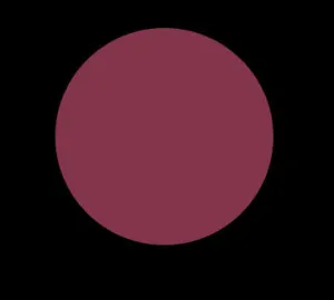 SOUR CHERRY 30 VINYL LIP LACQUER