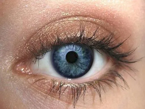 Teak Eyeshadow