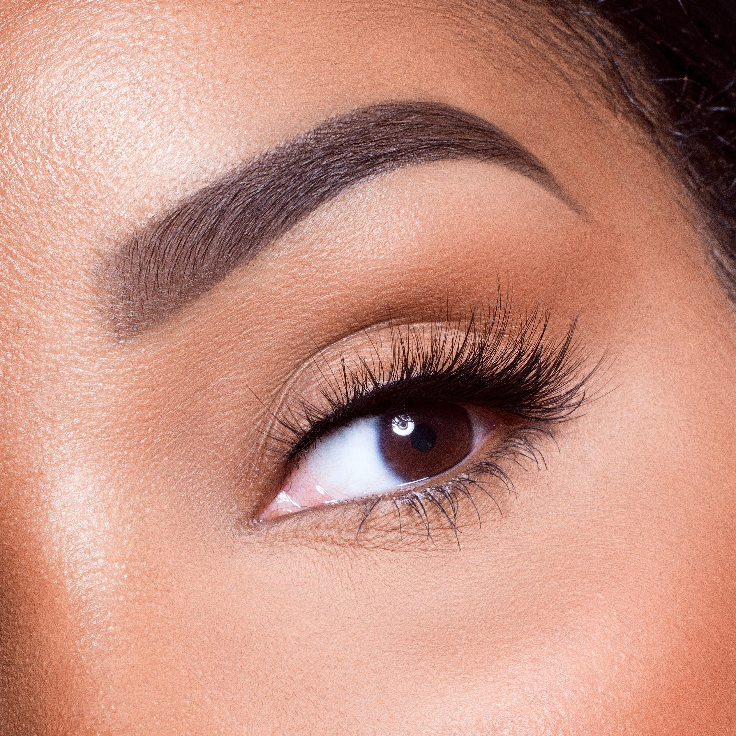 The Nubian Lashes - Luxor