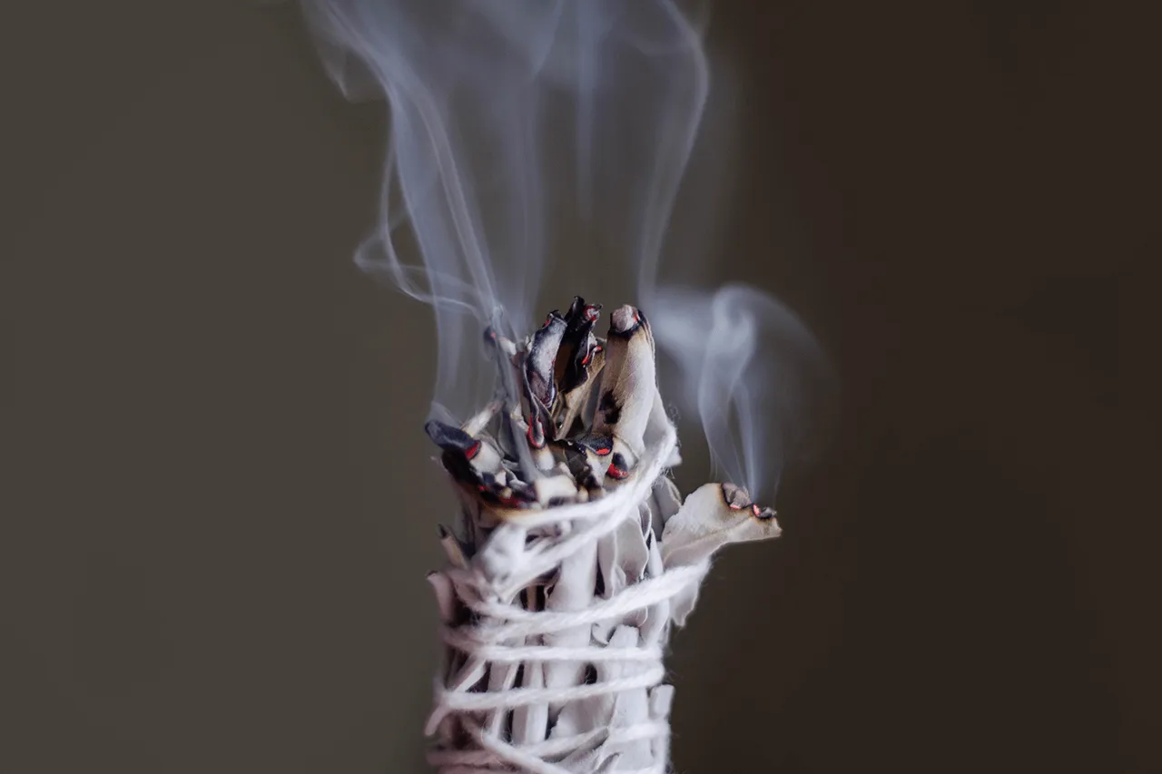White Sage Smudge Stick - Jumbo XLarge